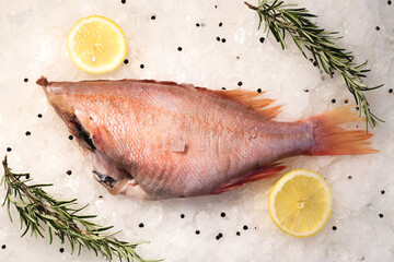 Fresh Red perch fish, raw ocean perch, headless perch