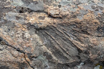 background and texture of stone surface with moss and lichens