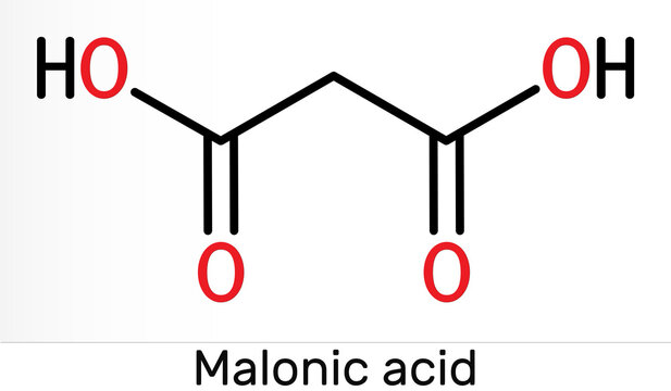 Malonic acid, dicarboxylic, propanedioic acid molecule. The ionized form its ester and salt, are known as malonate. Skeletal chemical formula. Illustration