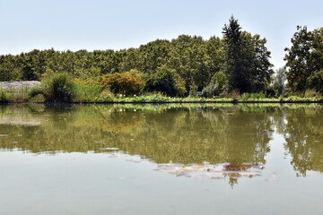 Fototapeta na wymiar See im Botanischen Garten von Bordeaux