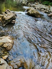 stream in the forest at Cheile Tisitei Romania