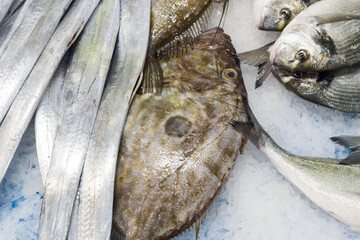 fresh fish in the Livramento market, Setubal, Portugal
