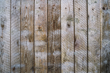 Texture of wooden planks. Close up of wooden fence. Concept of background for your text.