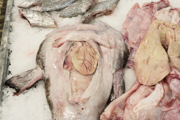 fresh fish in the Livramento market, Setubal, Portugal