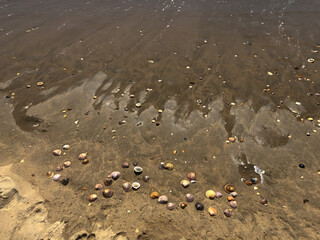 Olas marinas en la orilla