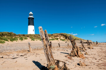 lighthouse on the beach
