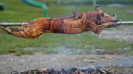 Rotisserie pig roasting barbeque pork on coal jar fire outdoor