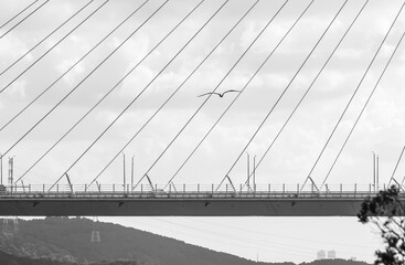 The Yavuz Sultan Selim Bridge is a bridge for rail and motor vehicle transit over the Bosphorus. Bridge and house view. 