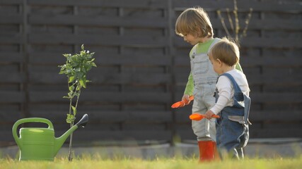 Baby child wit overall and brother with rubber boot and shovel plant together in garden, big...