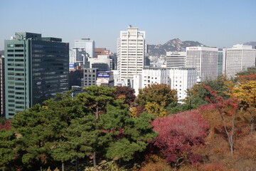 Obraz premium Aerial shot of Seoul skyline from Namsan Park