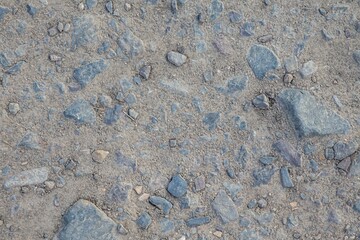 background and texture of the surface of the ground. Forest trodden path.