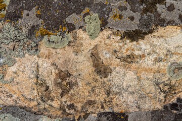 background and texture of stone surface with moss and lichens