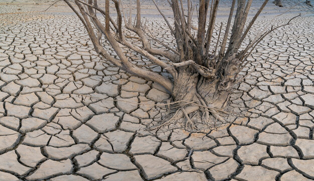 Land Cracked By Draught In The Riaño Reservoir (embalse), Leon Province, Castilla Y Leon, Spain, Europe