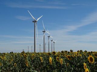 turbine