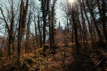 Forest with the castle in the background in Germany