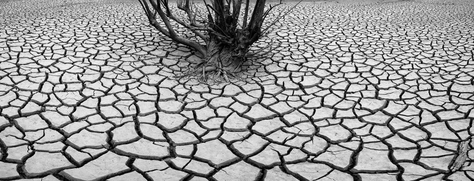 Land Cracked By Draught In The Riaño Reservoir (embalse), Leon Province, Castilla Y Leon, Spain, Europe