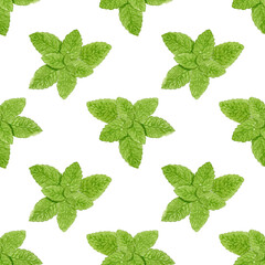 Watercolor mint seamless pattern isolated on white background. Botanical illustration.