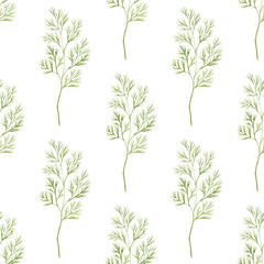 Watercolor dill seamless pattern isolated on white background. Botanical illustration.