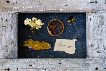 Frame and autumn leaves and flowers
