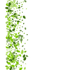 Mint Greens Tree Vector Brochure. Swirl Leaf 