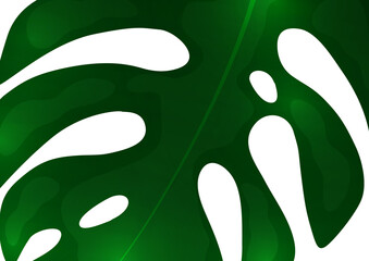 Large green leaf of monstera on a white background. Creative template for your design. Vector