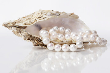 Oyster with pearls isolated on white.