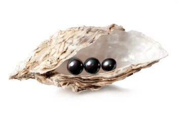 Oyster with black pearls isolated on white.