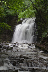 Obraz premium 黄金比な滝