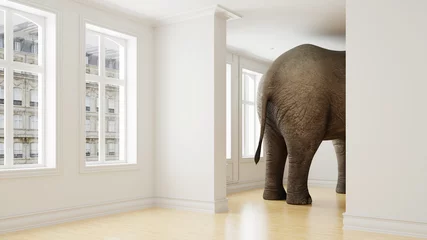 Fotobehang Elefant in Wohnung als Platzmangel und Haustier Konzept © Robert Kneschke