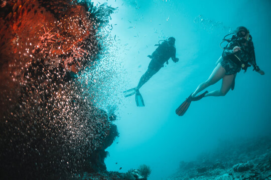 Underwater image of scuba divers swimming and observing colorful coral reef and fish in clear blue water