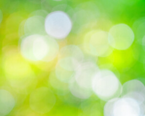 White bokeh blurred background of green leaves and yellow flower in the sunlight