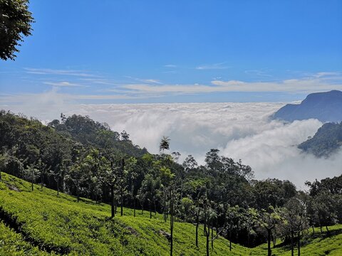 Spectacular mountain valley in coonoor, Tamilnadu,  India