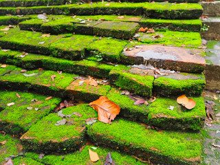 Lots of green moss clung to the old brick. Arranged in layers The dry leaves scattered around At Umong temple Chiang Mai Province, Thailand