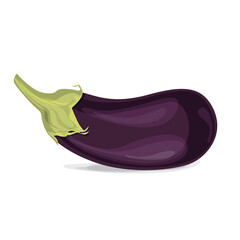 Eggplant on a white background. Autumn vegetable.