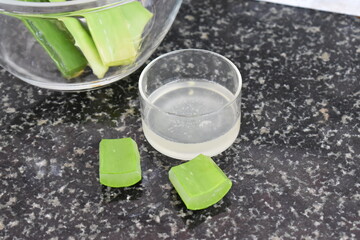 fresh and homemade aloe vera gel with fresh aloe leaves for skin care and hair care multipurpose gel