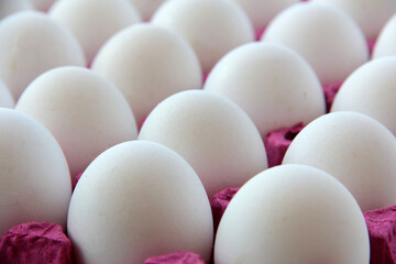 fresh and organic eggs