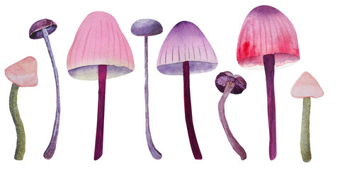Hand drawn watercolor set with unusual mushrooms isolated on white background. Pink, purple, dark pink and lilac mushrooms.

