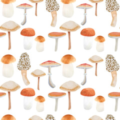 Watercolor pattern with various mushrooms on a white background. Seamless print with Morchella, porcini mushroom, Lactarius sect. Deliciosi, Russula.
