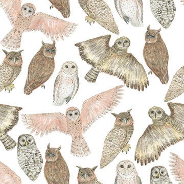 Watercolor painting seamless pattern with owls