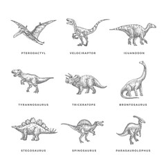 Prehistoric Dinosaurs Sketch Signs, Symbols or Illustrations Set. Hand Drawn Vector Ancient Reptiles Silhouttes Collection. Doodle Style Drawings Bundle. © createvil