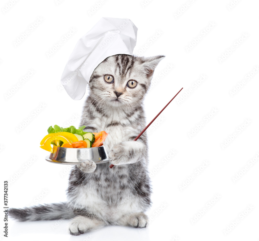 Poster cute kitten wearing chef's hat stands with bowl of the vegetables and shows away on empty space. iso