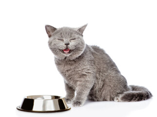 Happy cat sits with empty bowl. isolated on white background