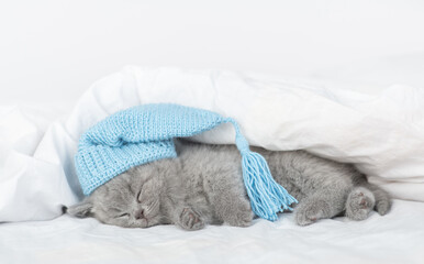 Cute baby kitten wearing warm hat sleeps under blanket on a bed at home