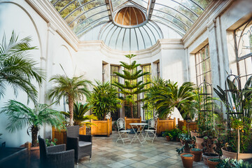 Orangery with tropical plants in wooden pots and garden furniture inside of the residential house. Largely built conservatory. Classic interior and trendy biophilic style. Copy space. - obrazy, fototapety, plakaty