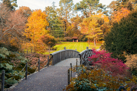 Beautifull scenic arched wooden bridge with fall leaves in autumn colors park with big colorful trees. Calming nature landscape view. Seasonal background. Copy space.