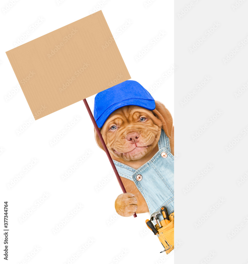 Poster Smiling puppy wearing overalls, blue cap and tool belt holds empty placard in it paw behind empty white banner. isolated on white background