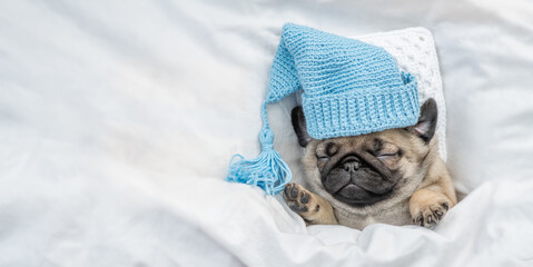 Tiny Pug puppy wearing warm hat sleeps on pillow under blanket at home. Top down view. Empty space...