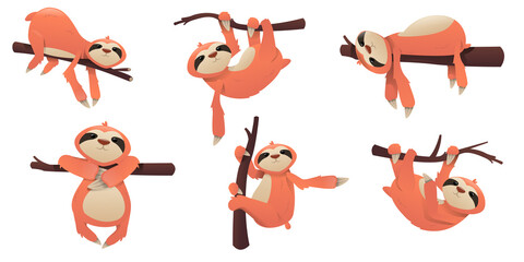 Cartoon cute sloth. Poze of sloth