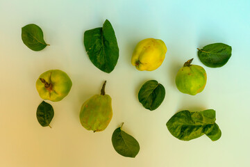 Quitten mit grüne Blätter.