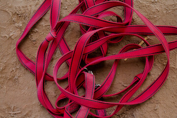 A pink lunging line lies ready in the sand for the next riding lesson.